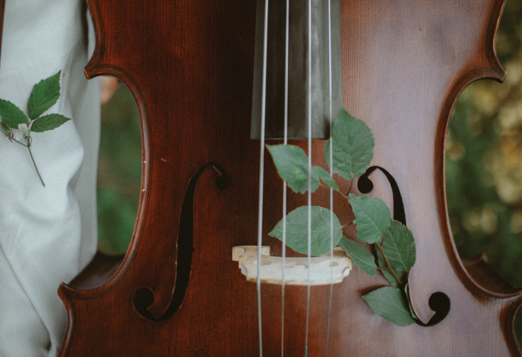 cello background